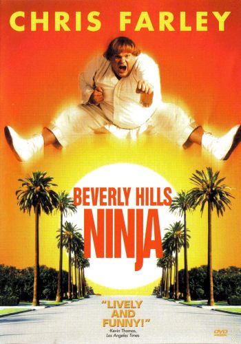 Beverly Hills Ninja