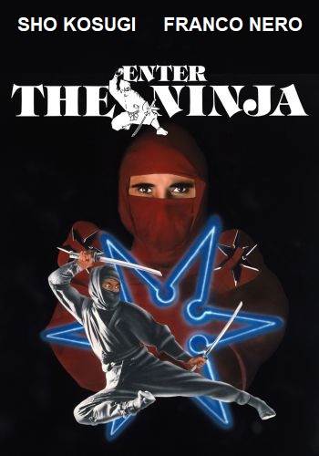 Enter The Ninja